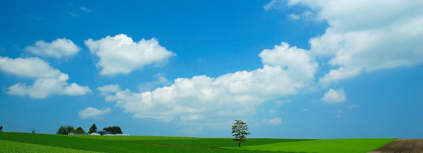 畑と青空.jpg