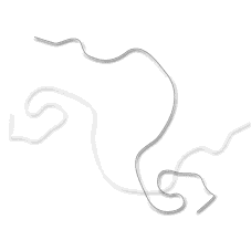 RikachanS Logo