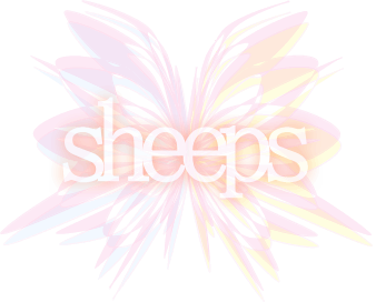 sheeps official web enter
