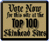 TOP100 SKINHEAD SITES