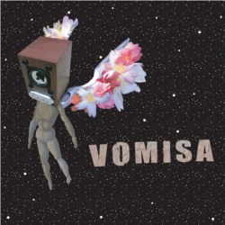 VOMISA