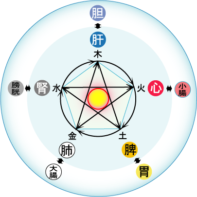 ファイブス本草科学研究所 トップ ご挨拶 漢方自然医学療法講座 漢方ｑ ａ 薬草のお話 季節のコラム お客さまの歓びの声 ご相談受付 店舗案内 ご購入方法 漢方性格診断 リンク 五行説 中医学では 五行説を用いて 人体の生理や病理 さらにそれを