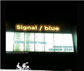 signal/blue